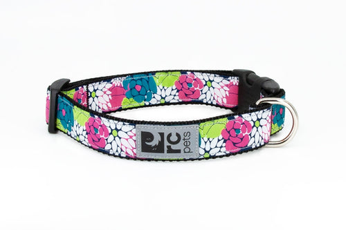 RC PETS CLIP COLLAR - DOG COLLAR (XS, Tropical Paisley)