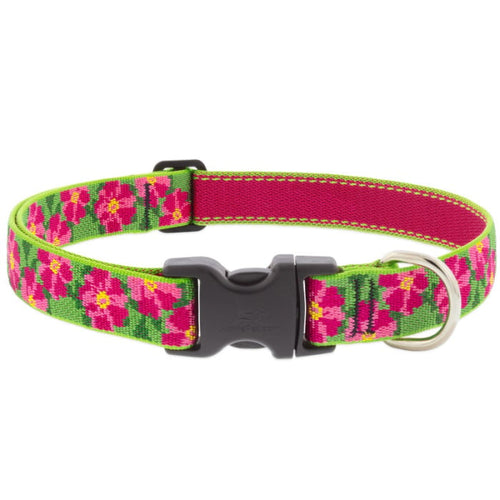 Lupine Pet Original Designs Dog Collar