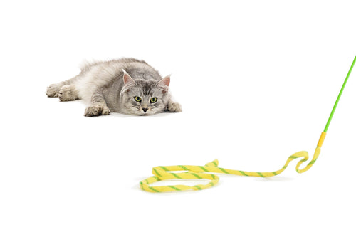 RompiCatz Rustlin Mylar Wiggler - Crinkle Sounding Fabric String Cat Toy