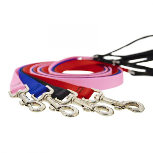 Lupine Pet Basic Solids Dog Leash