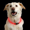 Nite Ize Nitehowl LED Safety Necklace (Orange)