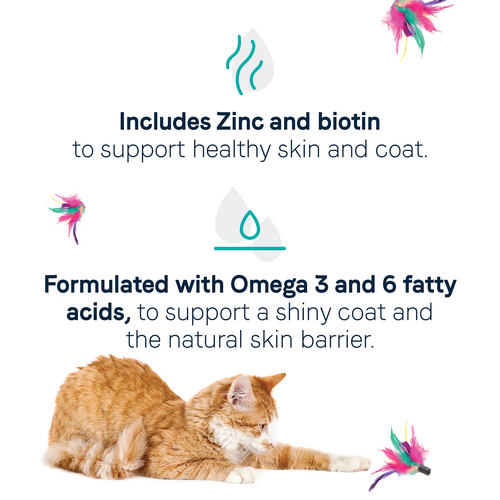 Canidae® Goodness for Skin & Coat Formula with Real Salmon Dry Cat Food (5-lb)