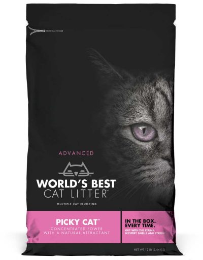 World's Best Picky Cat Litter - Bothell, WA