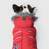 Canada Pooch Everest Explorer Jacket