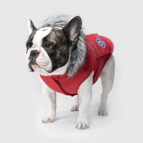 Canada Pooch Everest Explorer Jacket