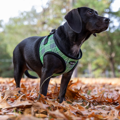 Bark Appeal Mesh Step-In Harnesses (Plaid or Camo)