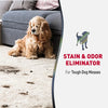 Nature's Miracle Advanced Stain and Odor Eliminator for Dogs Sunny Lemon