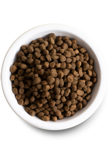 Open Farm Ancient Grains High-Protein Puppy Food (22-lbs)