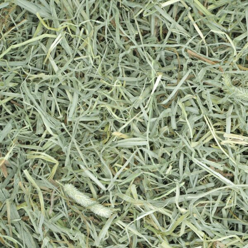 Oxbow Prime Cut Soft & Lush Hay