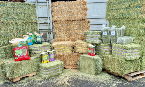 Hay and horse supplies