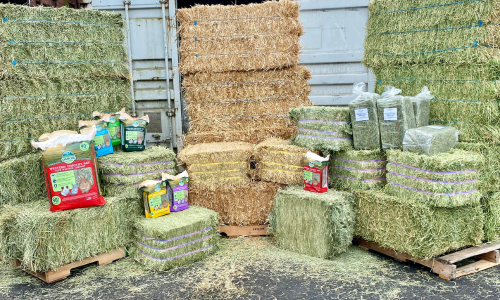 Horse Feed & Supplies - Bothell, WA - Bothell Pet & Feed Supply