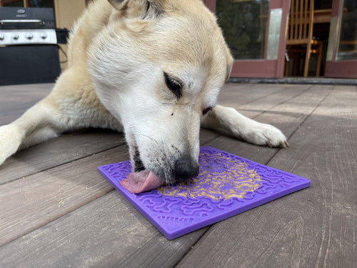 Soda Pup  Bone Design Lick Mat (Purple)