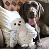 Tall Tails Animated Snow Owl Dog Toy