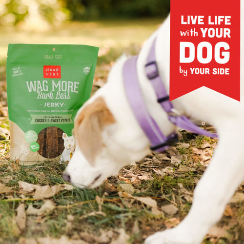 Cloud Star Wag More Bark Less Jerky: Chicken & Sweet Potato Dog Treats (10-oz)