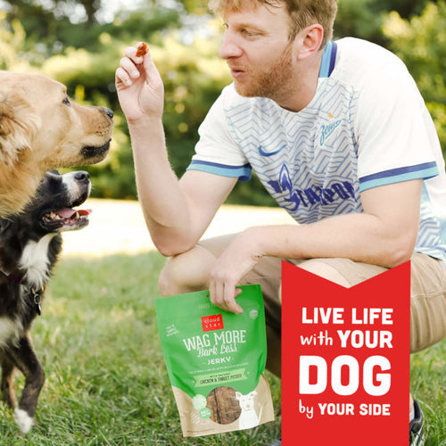 Cloud Star Wag More Bark Less Jerky: Chicken & Sweet Potato Dog Treats (10-oz)