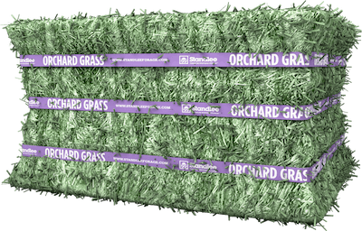 Standlee Premium Orchard Grass Compressed Bale (Bale)