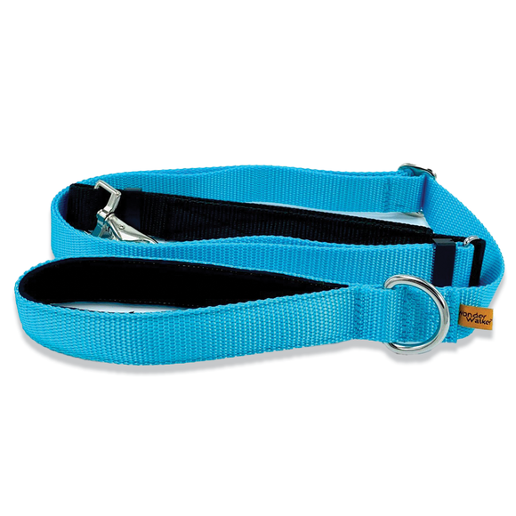 Wonder Walker Service Leash