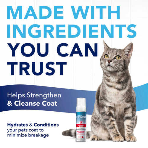 TropiClean OxyMed Waterless Dry Shampoo for Cats