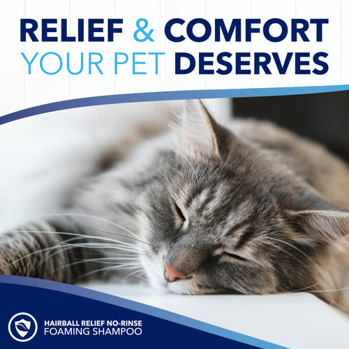 TropiClean OxyMed Waterless Dry Shampoo for Cats