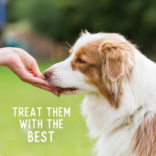 Beg & Barker Whole Chicken Chips Dog Treats