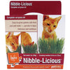 PETLINKS NIBBLE-LICIOUS CAT GRASS SEED KIT (Oats 1-oz)