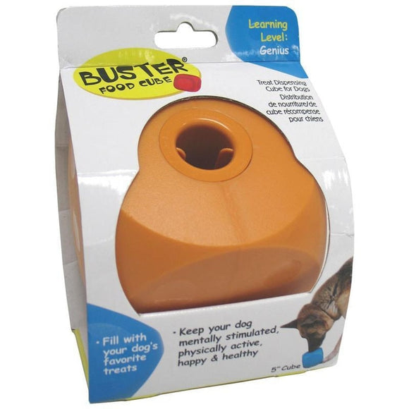 BUSTER CUBE (5 INCH, ASSORTED)
