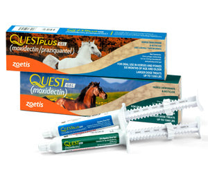 Zoetis Quest Horse Dewormer Gel